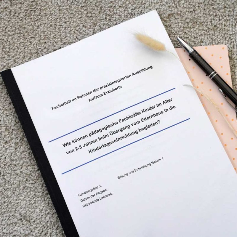 Facharbeit zum Thema Übergang und Eingewöhnung