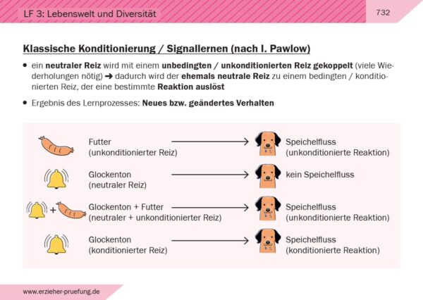 Lernkarten für die Erzieher Prüfung Ausbildung Beispiel 6