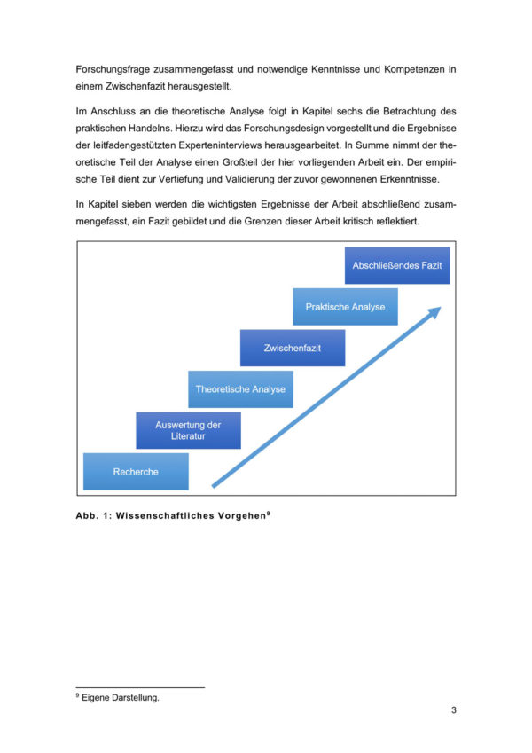 Einleitung Bewertungs- und Entscheidungsprozesse bei Kindeswohlgefährdung 3