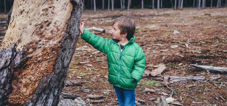 Warum Kinder draußen spielen sollten