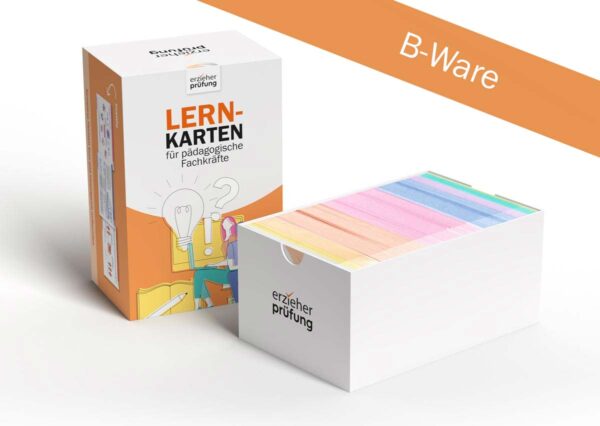 Lernkarten für die Erzieher Prüfung Ausbildung B-Ware